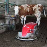 OPG Kruljac, Vladislavci