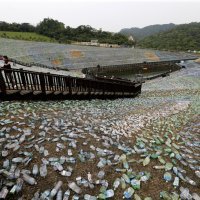 Plastika kao umjetnost