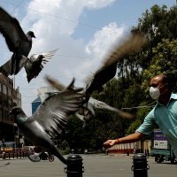 Koronavirus u Indiji