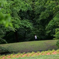 Zagreb: Maksimirska šuma prazna je na ovaj Praznik rada