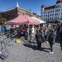 Koronavirus u Švedskoj