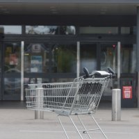 Odlukom Stožera, koja je izazvala dosta prijepora, nedjelja je neradni dan za sve trgovine