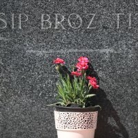 U Kumrovcu obilježena 40. obljetnica smrti Josipa Broza Tita