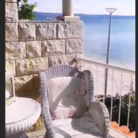 Ana Gruica Uglešić