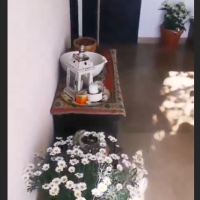 Ana Gruica Uglešić