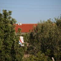 Pad aviona u Biljanima