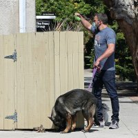 Ben Affleck i Ana de Armas