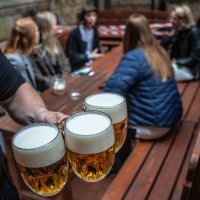 Žedni Česi nazdravljaju povratku na terase pivnica