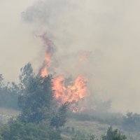 Požar kod Šibenika