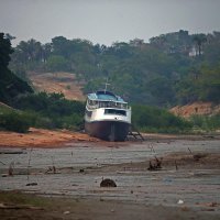 Amazonija