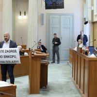 Gordan Maras u Saboru