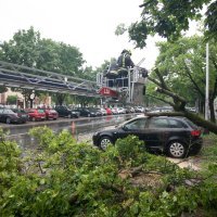 Nevrijeme srušilo stablo na automobile