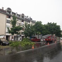 Nevrijeme srušilo stablo na automobile