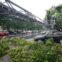 Nevrijeme srušilo stablo na automobile