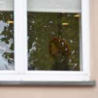 Prostori tvrtke Ane Karamarko