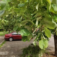 Xiaomi Mi Note 10 Lite - primjeri fotografija