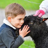 Švedski princ Oscar