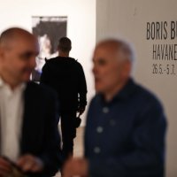 Boris Bućan, Havanezer