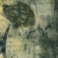 ‘Struktura mrlja’ Vide Meić