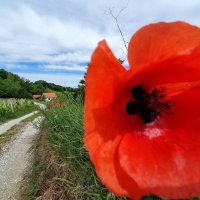 Blog Pedaliranje: Zagorje