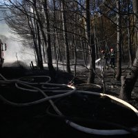 Požar u Kaštel Sućurcu