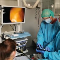 Fekalna transplantacija u KB Merkur