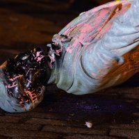 Prosvjednici su u SAD-u srušili spomenik konfederalnom predsjedniku iz vremena građanskog rata