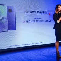 Doris Pinčić Rogoznica