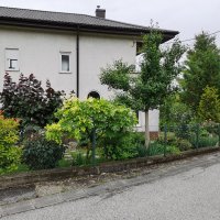 Huawei Mate Xs - primjeri fotografija