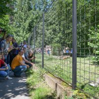 Zagreb: Smogovci dali ime divovskom mravojedu, zvati će se Nosonja