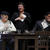 Denis Brižić, Zrinka Kolak Fabijan, Jasmin Mekić