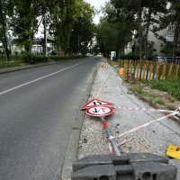 Snažan vjetar lomio grane i rušio prometne znakove