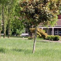 Ovaj luksuzni dom nekad je nudio smještaj puranima