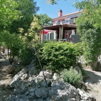 The Forest House Krk