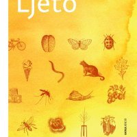 Ljeto, Karl Ove Knausgård, prevela Anja Majnarić
