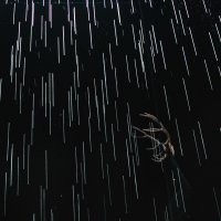 Predstava Monovid-19