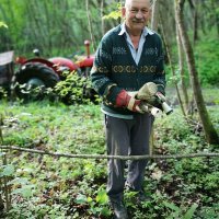 Čisteći medvjedići (Braco Poštar)