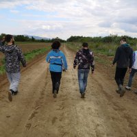 Čisteći medvjedići