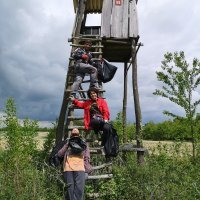 Čisteći medvjedići (Novokapelci)