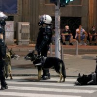 Rat na ulicama Beograda