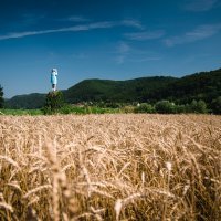 Zapaljen kip Melanije Trump