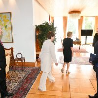 Predsjednik Zoran Milanović primio je predsjednika i članove DIP-a