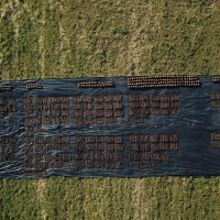 Ekshumacija iz jame Jazovka