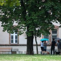 Zagreb: Kiša je osvježila gradske ulice i parkove