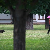 Zagreb: Kiša je osvježila gradske ulice i parkove