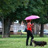 Zagreb: Kiša je osvježila gradske ulice i parkove