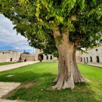 Pedaliranje: Maškovića Han