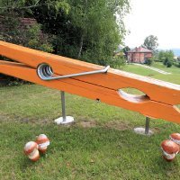 Divovska kvačica u Karlovcu