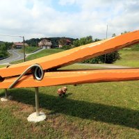 Divovska kvačica u Karlovcu