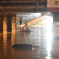 Poplava u Miramarskoj